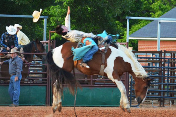 rodeo